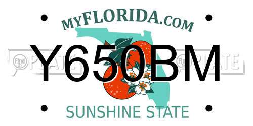 Y650BM Florida License Plate