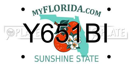 Y651BI Florida License Plate