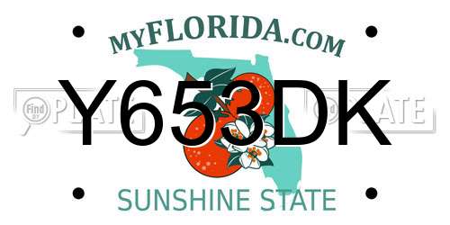 Y653DK Florida License Plate