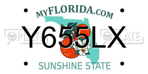 Y655LX Florida License Plate