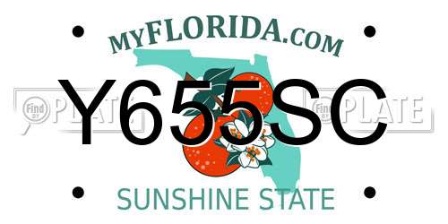 Y655SC Florida License Plate