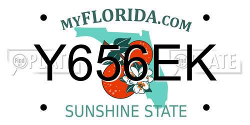 Y656EK Florida License Plate