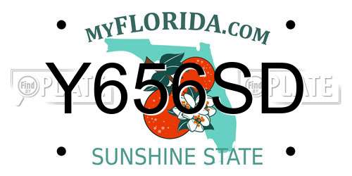 Y656SD Florida License Plate