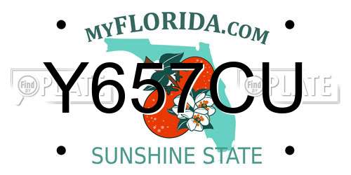 Y657CU Florida License Plate