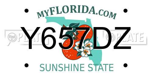 Y657DZ Florida License Plate