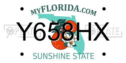Y658HX Florida License Plate
