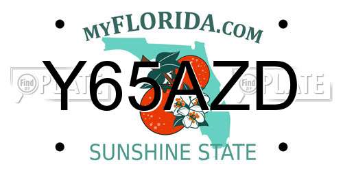 Y65AZD Florida License Plate