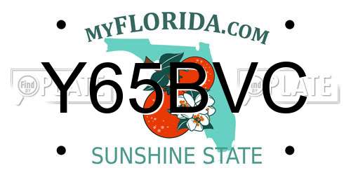 Y65BVC Florida License Plate