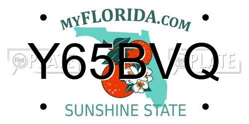 Y65BVQ Florida License Plate