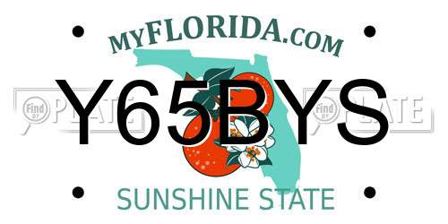 Y65BYS Florida License Plate