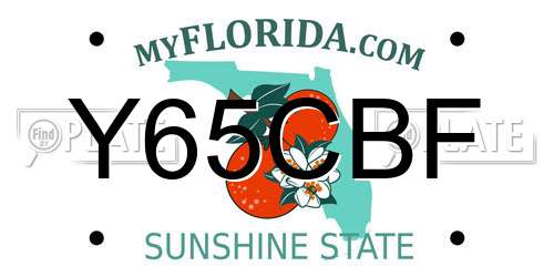 Y65CBF Florida License Plate