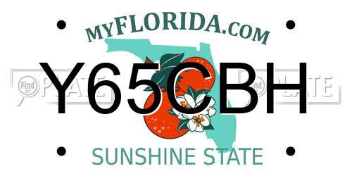 Y65CBH Florida License Plate