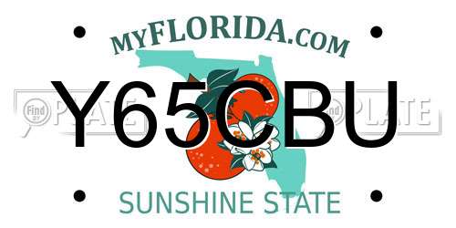 Y65CBU Florida License Plate