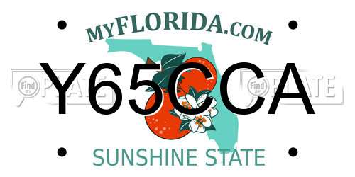 Y65CCA Florida License Plate