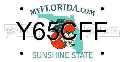 Y65CFF Florida License Plate
