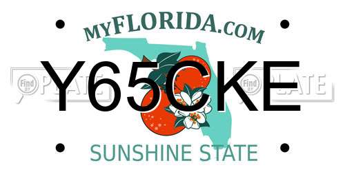 Y65CKE Florida License Plate