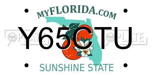 Y65CTU Florida License Plate