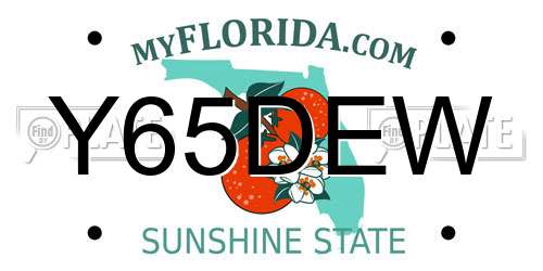 Y65DEW Florida License Plate