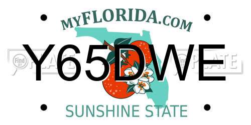 Y65DWE Florida License Plate