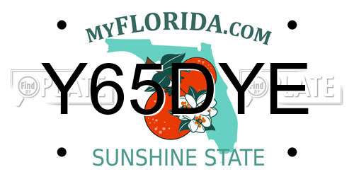 Y65DYE Florida License Plate