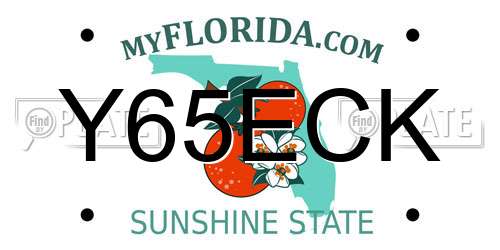 Y65ECK Florida License Plate