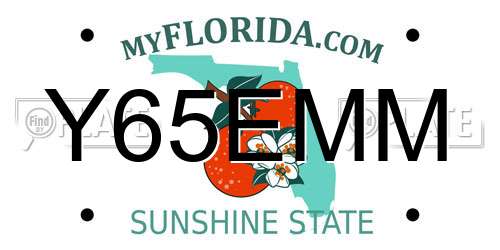 Y65EMM Florida License Plate