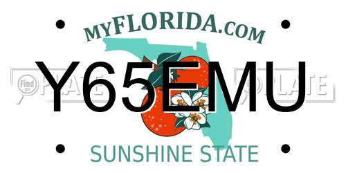 Y65EMU Florida License Plate