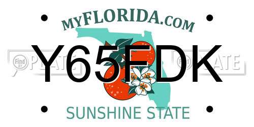 Y65FDK Florida License Plate