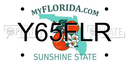Y65FLR Florida License Plate