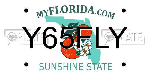 Y65FLY Florida License Plate