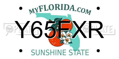 Y65FXR Florida License Plate