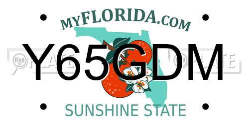 Y65GDM Florida License Plate