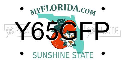Y65GFP Florida License Plate