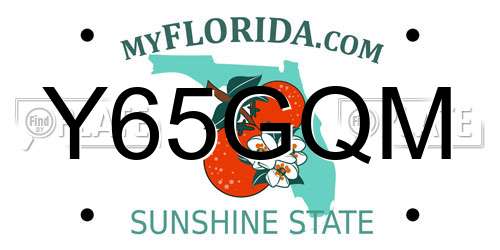 Y65GQM Florida License Plate
