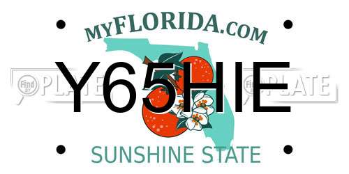 Y65HIE Florida License Plate