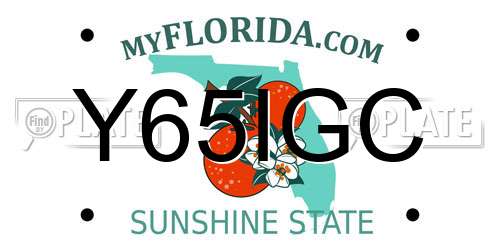 Y65IGC Florida License Plate
