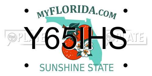Y65IHS Florida License Plate
