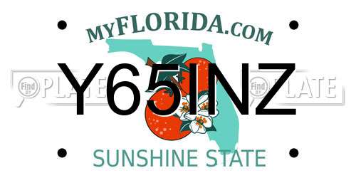Y65INZ Florida License Plate