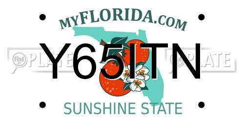 Y65ITN Florida License Plate