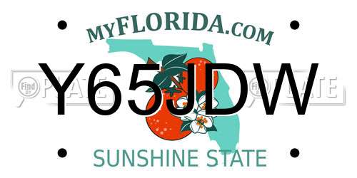 Y65JDW Florida License Plate