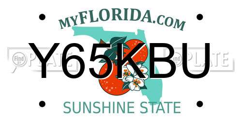 Y65KBU Florida License Plate