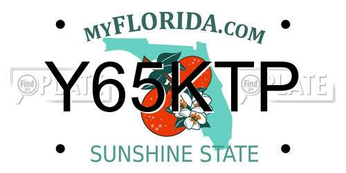 Y65KTP Florida License Plate
