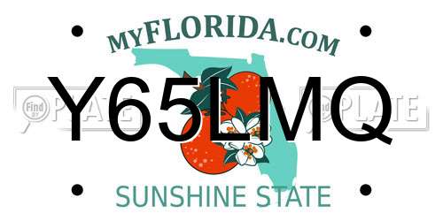 Y65LMQ Florida License Plate