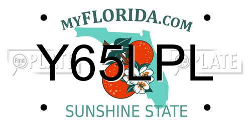 Y65LPL Florida License Plate