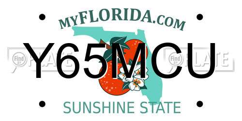 Y65MCU Florida License Plate