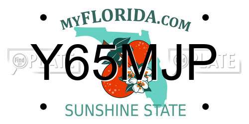 Y65MJP Florida License Plate