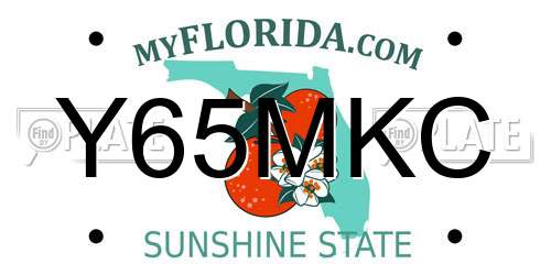 Y65MKC Florida License Plate
