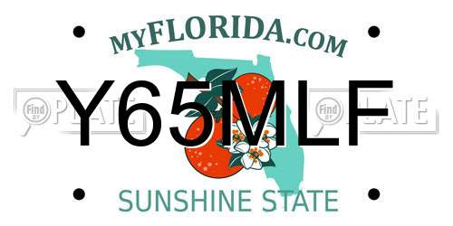 Y65MLF Florida License Plate