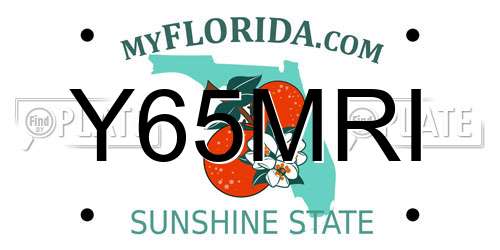 Y65MRI Florida License Plate