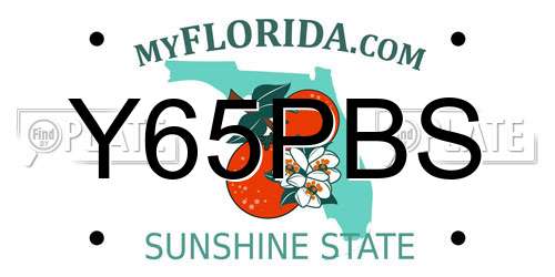 Y65PBS Florida License Plate